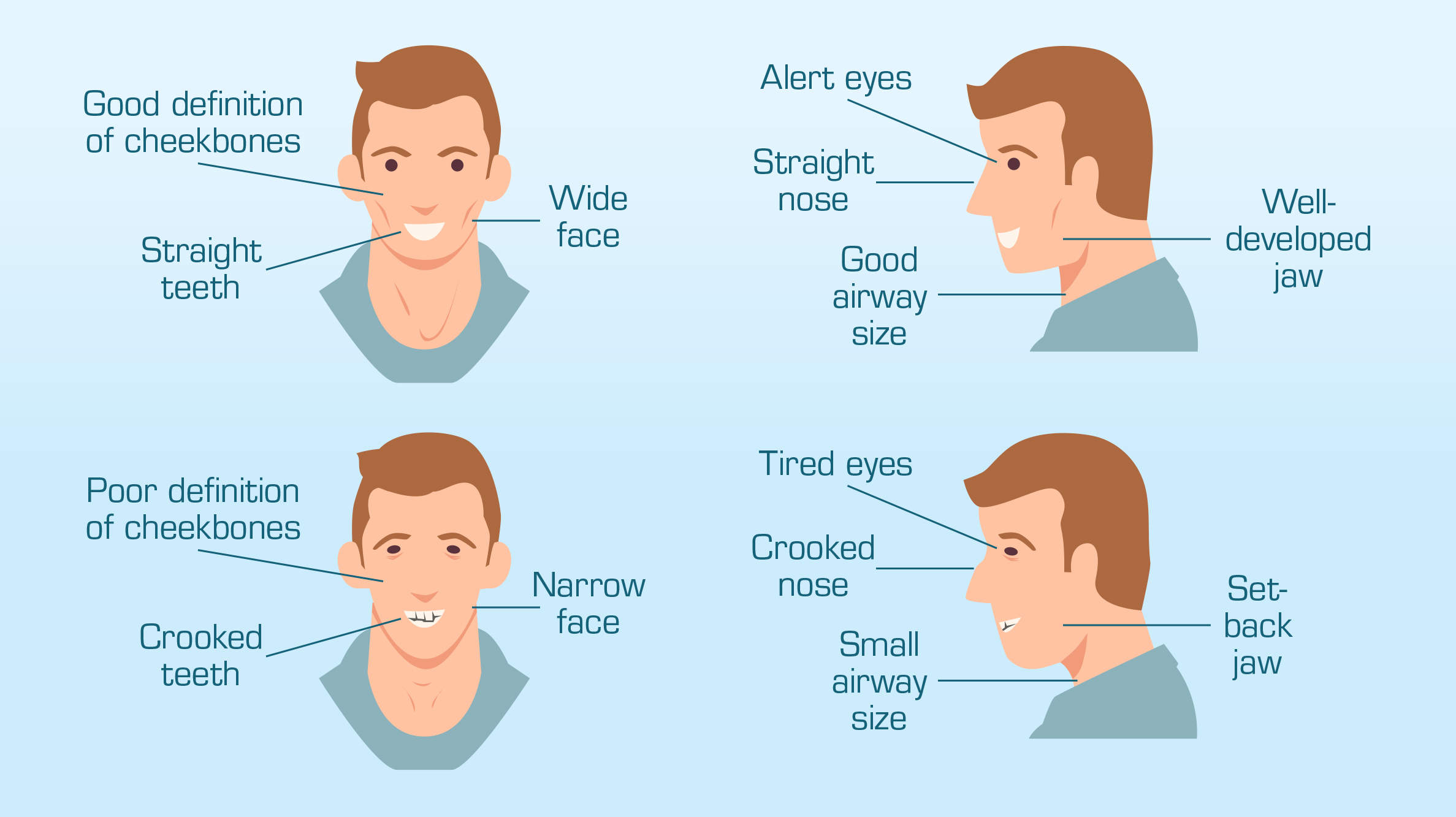 diagram of how facial development can affect breathing
